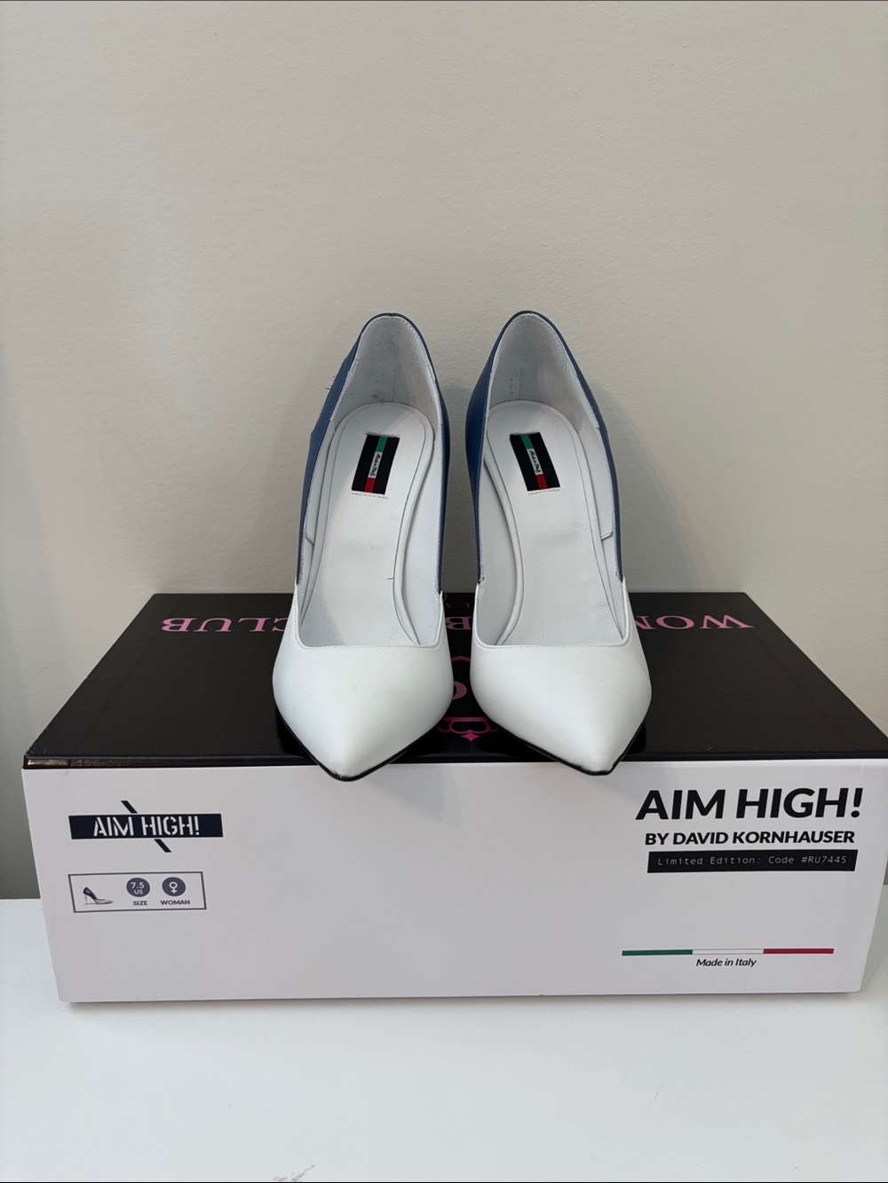 Two-Tone Pointed Pump in White and Blue